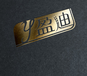 盈迪LOGO設(shè)計(jì)